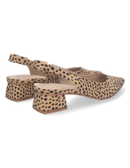 DB-2360-Leopardo